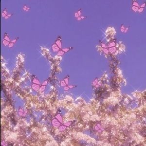 Meet your Posher, Brooklyn